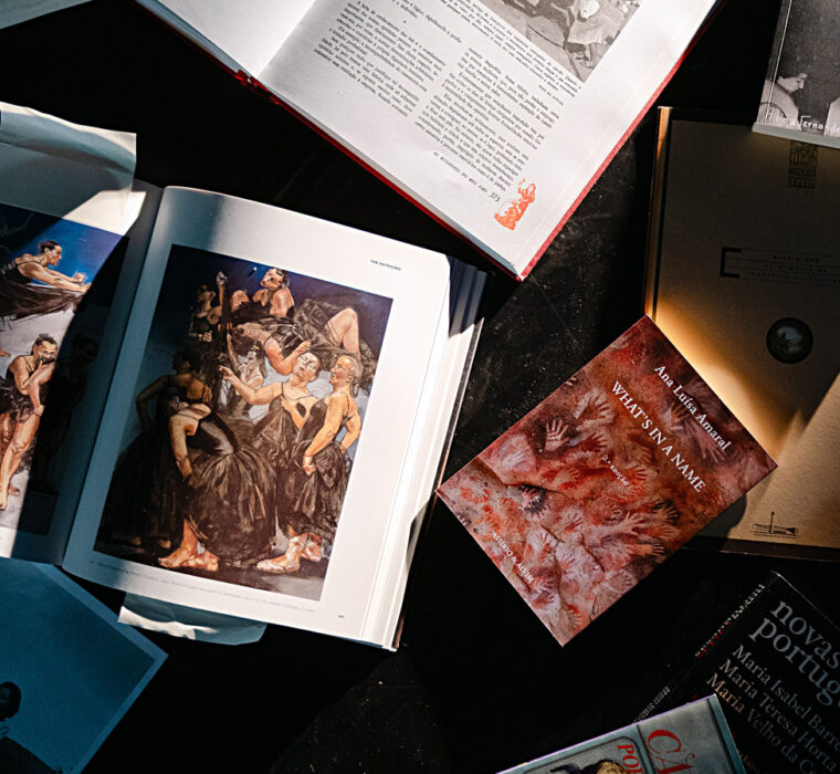 Sombras<span class="sub_portfolio"> espetáculo</span> 70