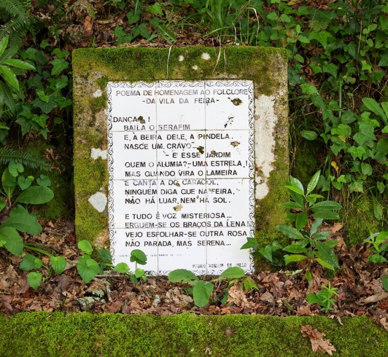 Homenagem ao Folclore da Vila da Feira <span class="sub_portfolio"> Pedro Homem de Melo [PT] </span> 8