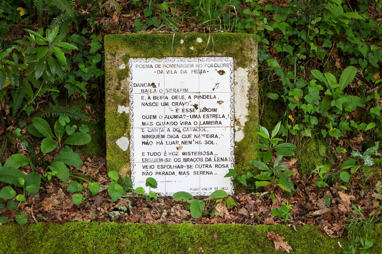 Homenagem ao Folclore da Vila da Feira <span class="sub_portfolio"> Pedro Homem de Melo [PT] </span> 1